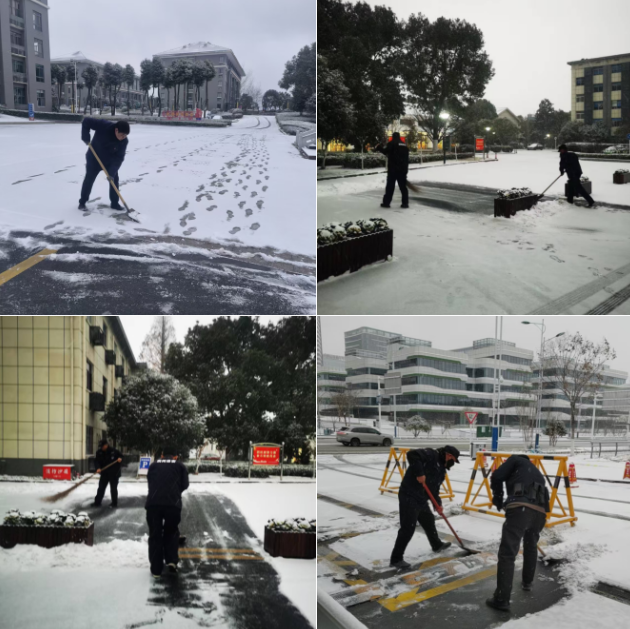 以雪為令，向暖而行